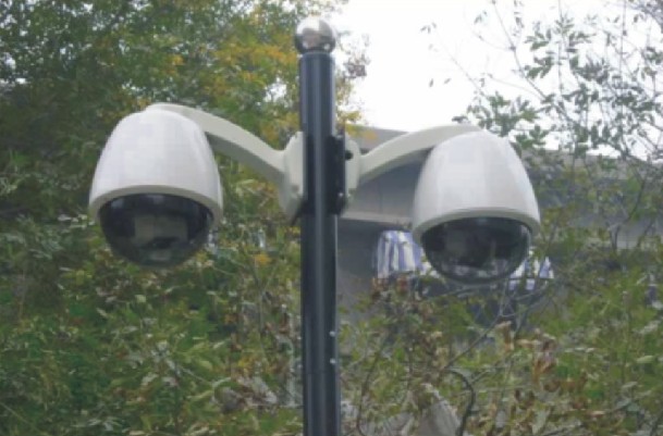 ��ɫ����z��C